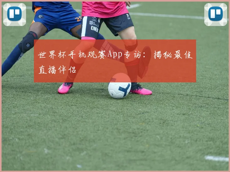 世界杯手机观赛App专访：揭秘最佳直播伴侣