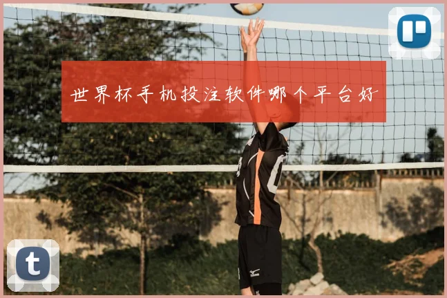 世界杯手机投注软件哪个平台好