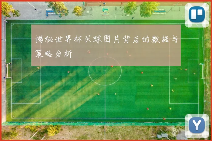 揭秘世界杯买球图片背后的数据与策略分析