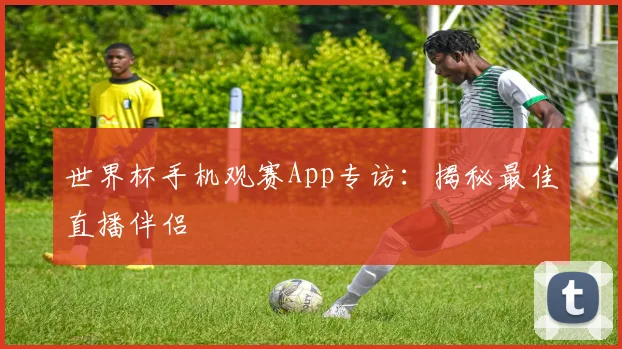 世界杯手机观赛App专访:揭秘最佳直播伴侣